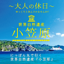 格安の伊豆七島ツアー大特集 四季の旅