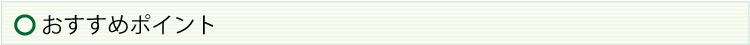おすすめポイント
