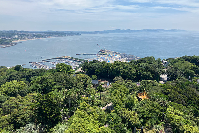 江の島シーキャンドルからの眺望