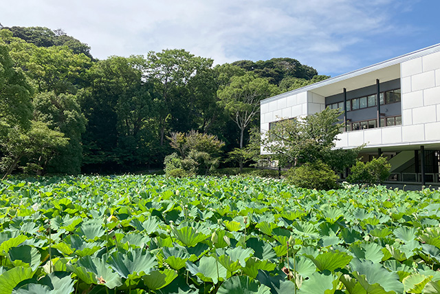 平家池