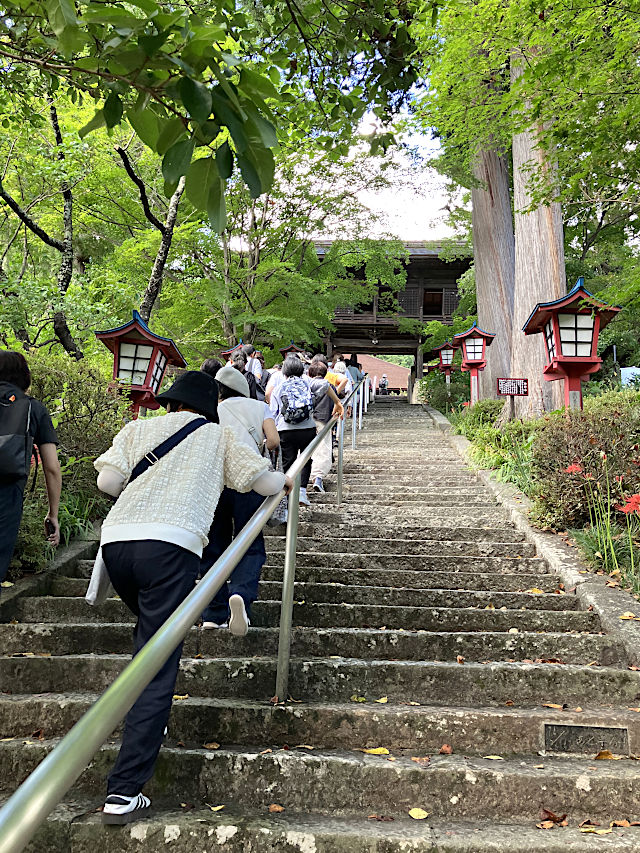 大善寺ぶどう寺