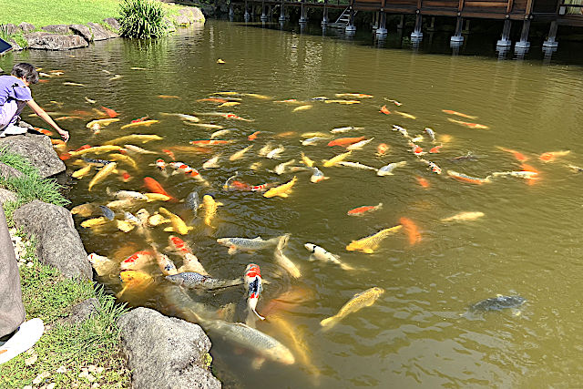 身曾岐神社