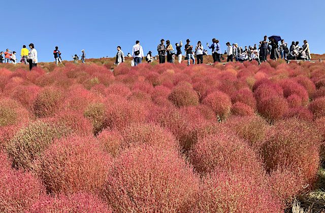 みはらしの丘・頂上