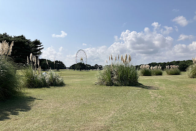 ひたち海浜公園