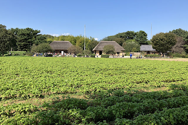 みはらしの丘・旧土肥家住宅