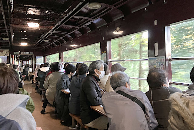 トロッコわたらせ渓谷号