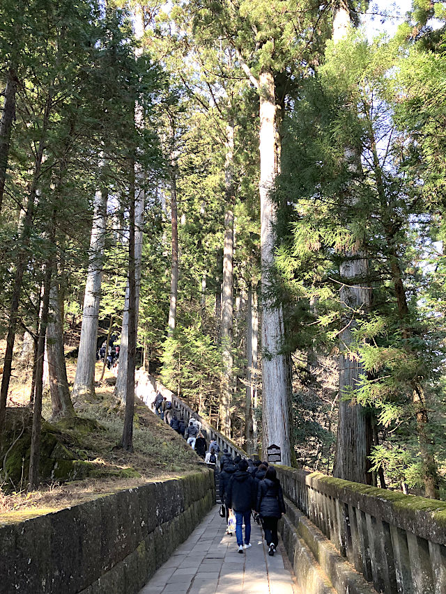 日光東照宮の奥宮の参道