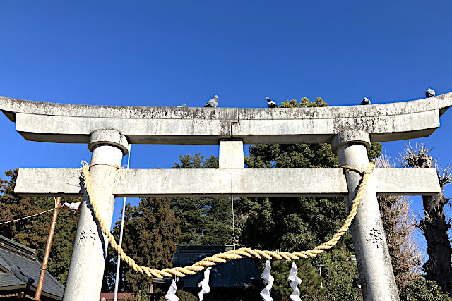 報徳二宮神社と鳩