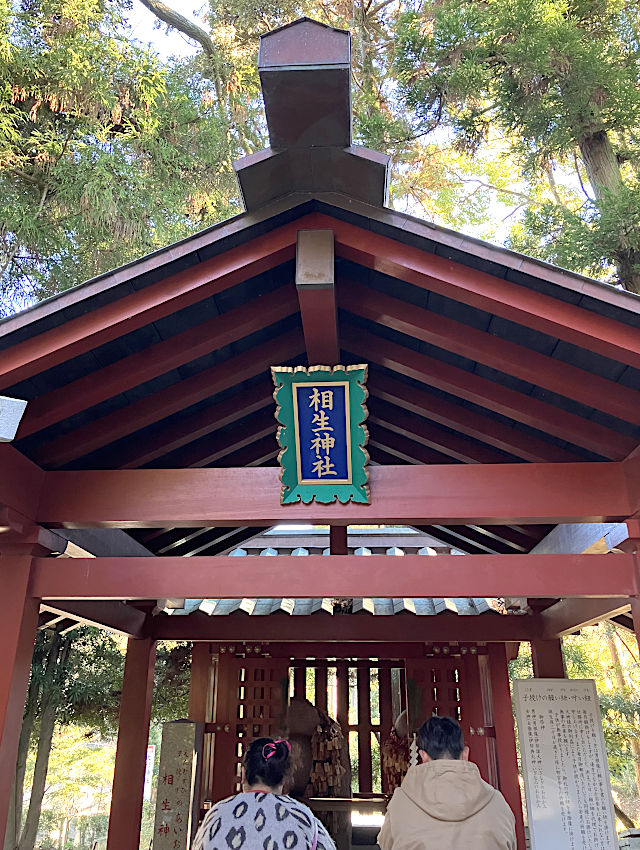 大杉神社の相性神社