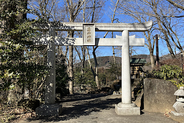 薬神神社