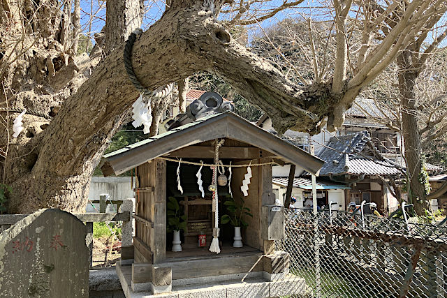 龍神社と竜のご神木