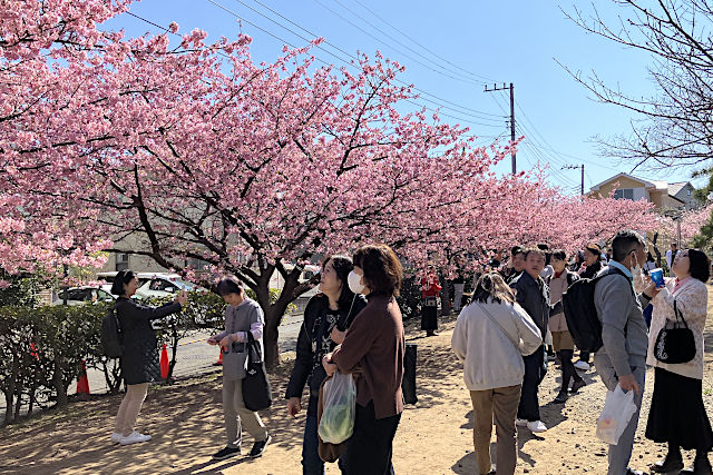 小松ヶ池公園