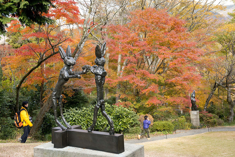 彫刻の森美術館　紅葉