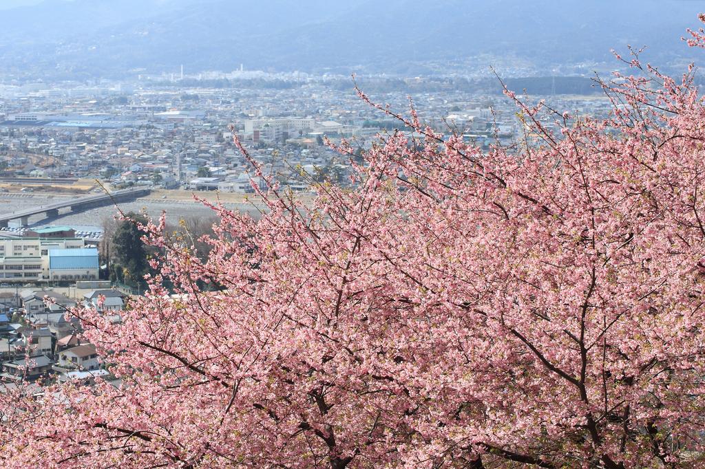 西平畑公園展望