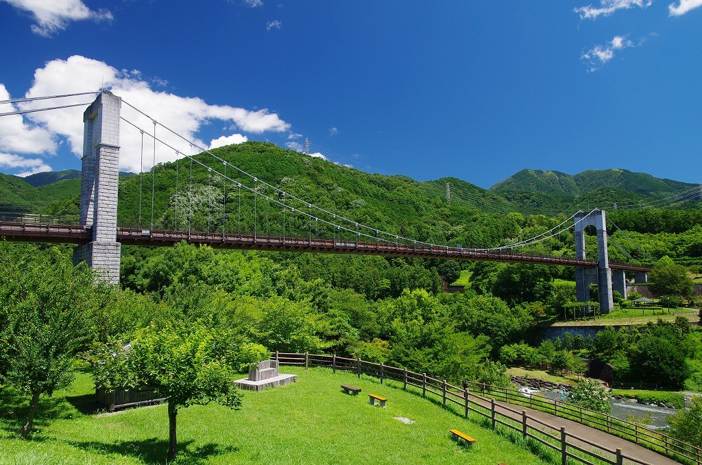 秦野戸川公園 風の吊り橋