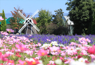 季節の花々 フォトジェニックな一枚を☆