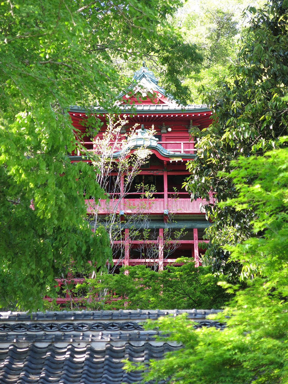 磯山弁財天（懸造りの本殿）