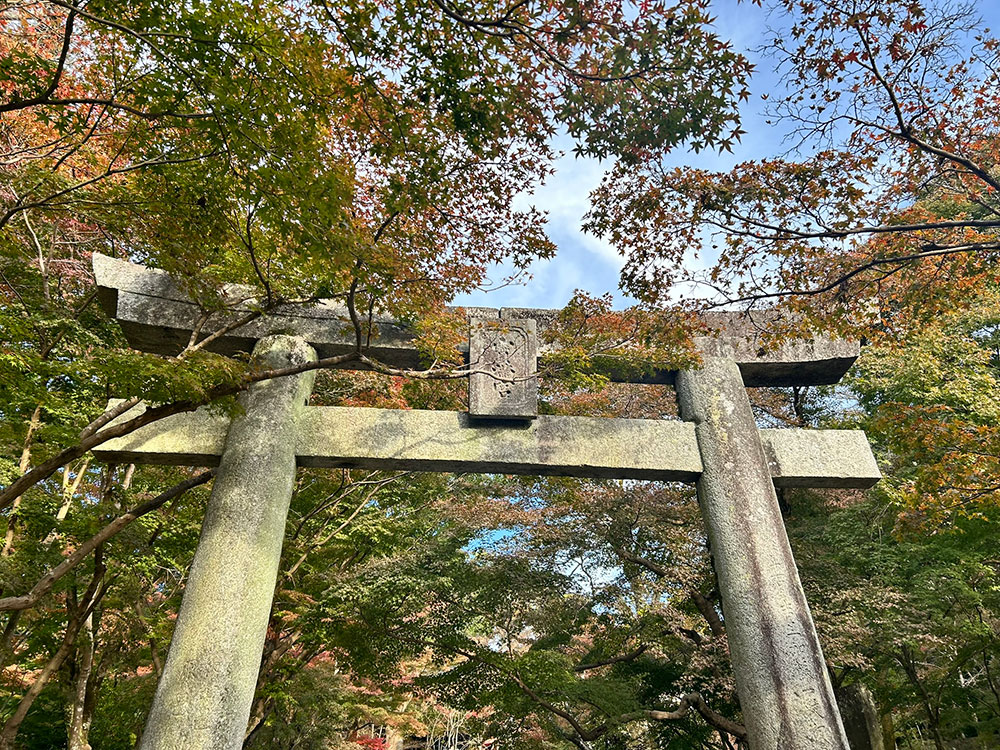 竈門神社の大きな鳥居