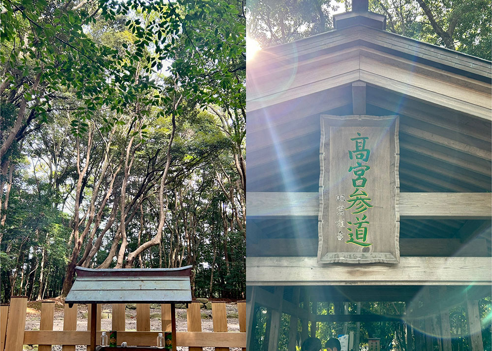 宗像大社　神秘的な高宮祭場