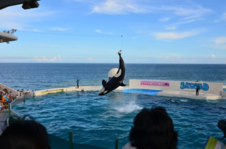 家族で日帰りツアー 鴨川シーワールド マザー牧場