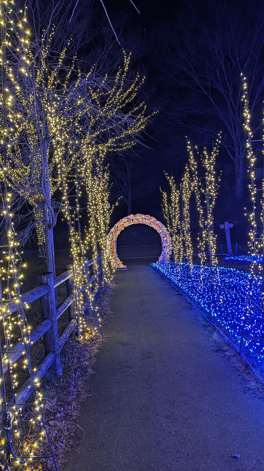 スカイブリッジイルミネーション