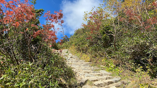 日本三霊山 白山登拝と白山比咩神社おついたち参りのおすすめポイント