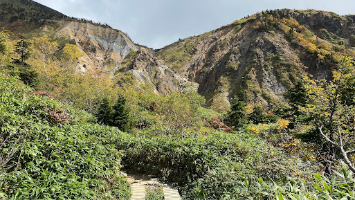 日本三霊山 白山登拝と白山比咩神社おついたち参りのおすすめポイント