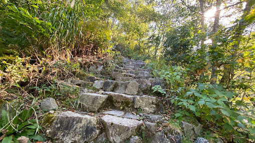 日本三霊山 白山登拝と白山比咩神社おついたち参りの魅力