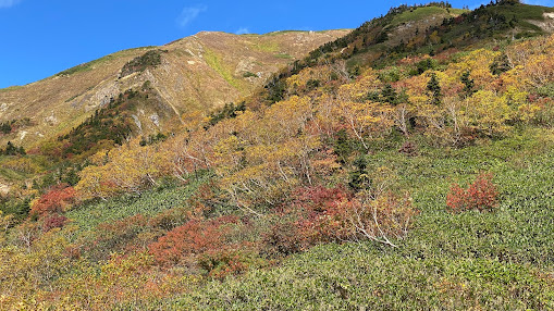 日本三霊山 白山登拝と白山比咩神社おついたち参りの魅力