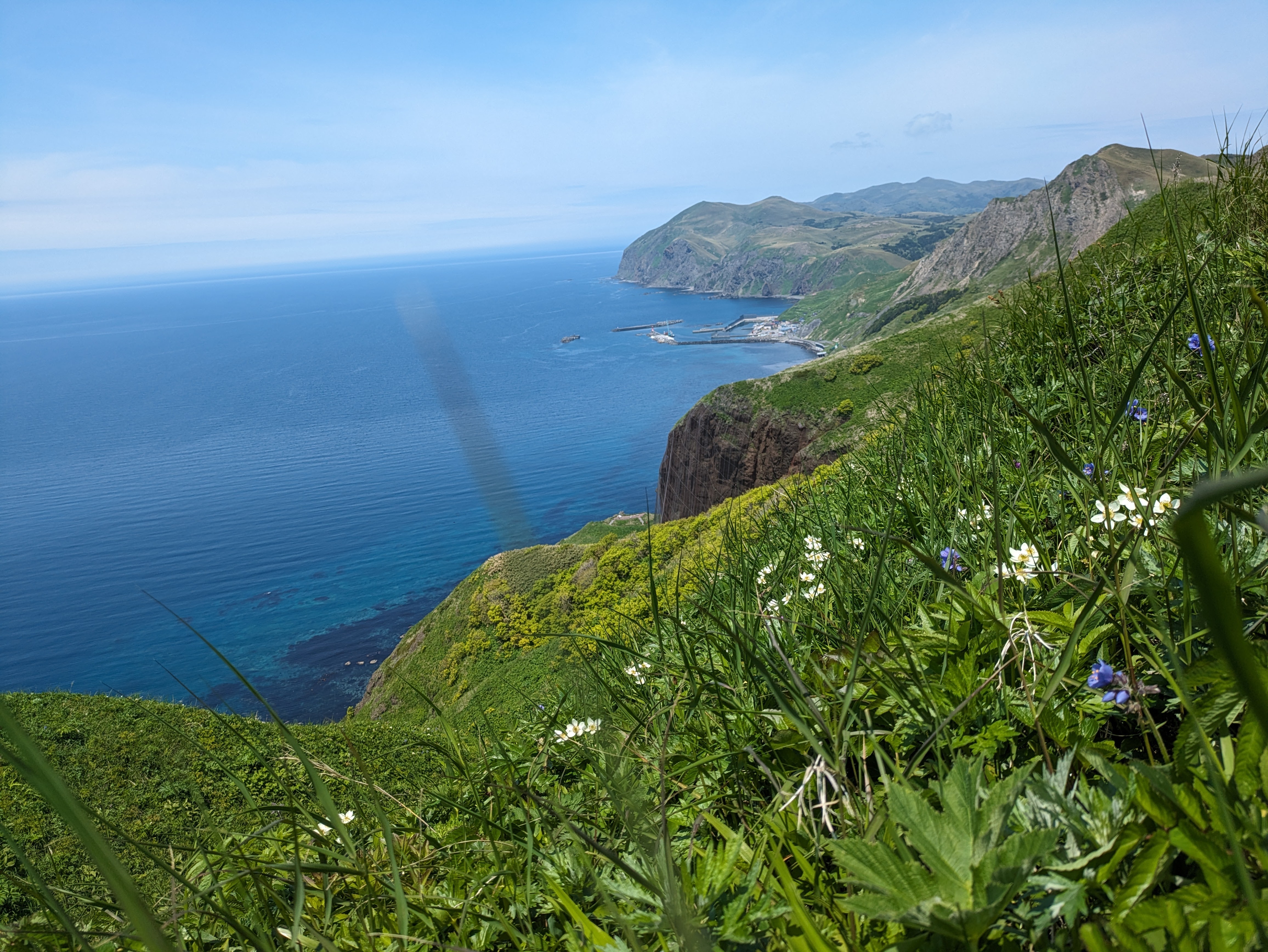 礼文島・桃岩周辺