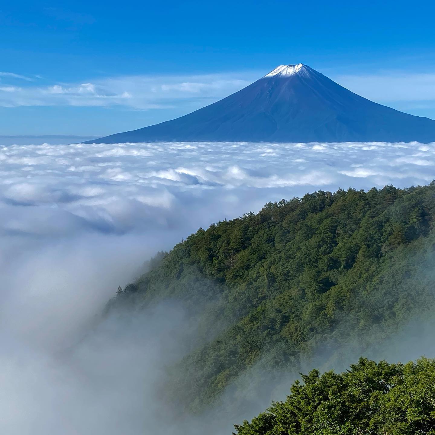 山荘付近からの富士山