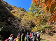 [全国旅行支援対象] 上野村紅葉のstoryバスツアーのレポート写真