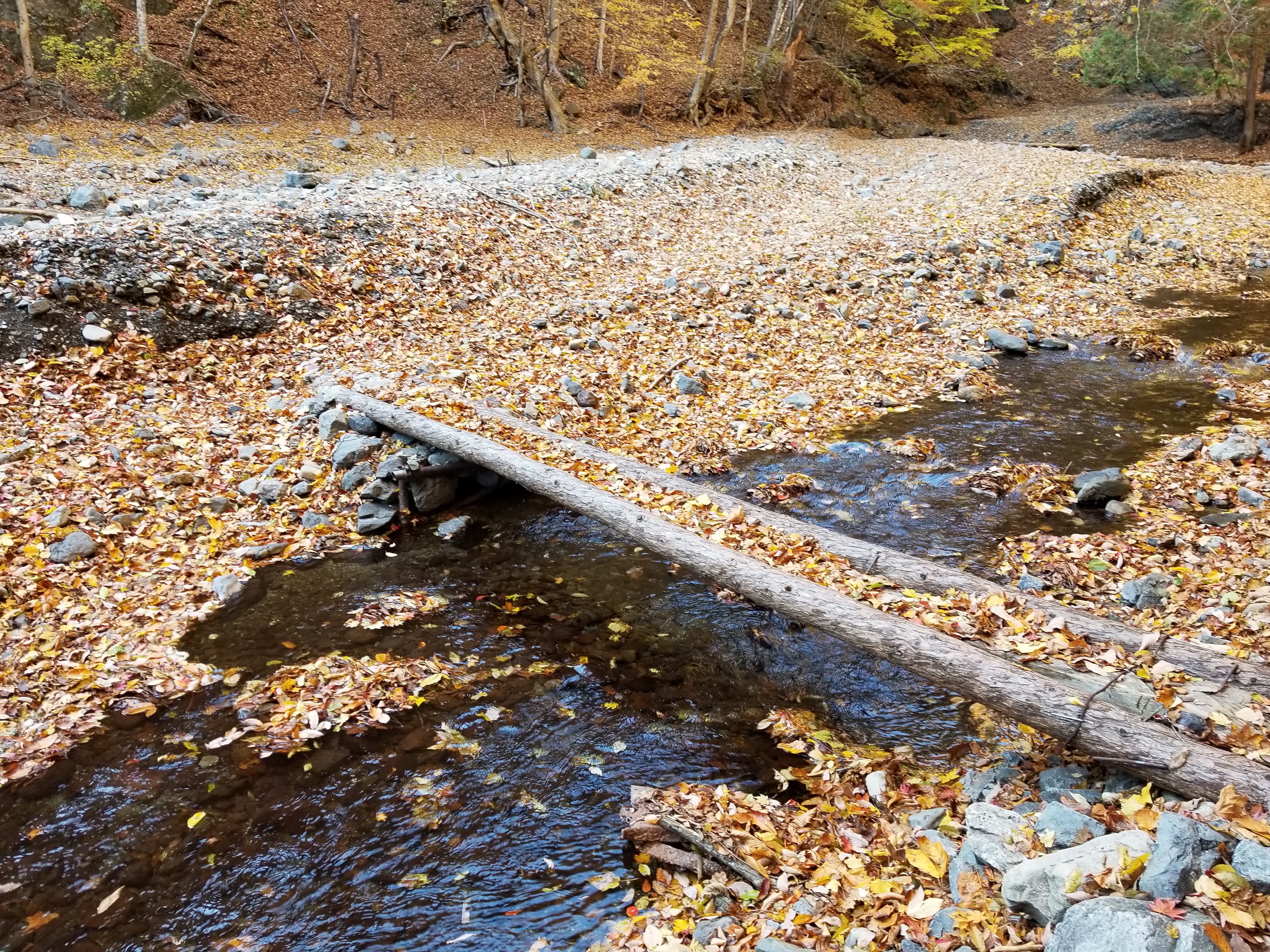 [全国旅行支援対象] 上野村紅葉のstoryバスツアーのおすすめポイント